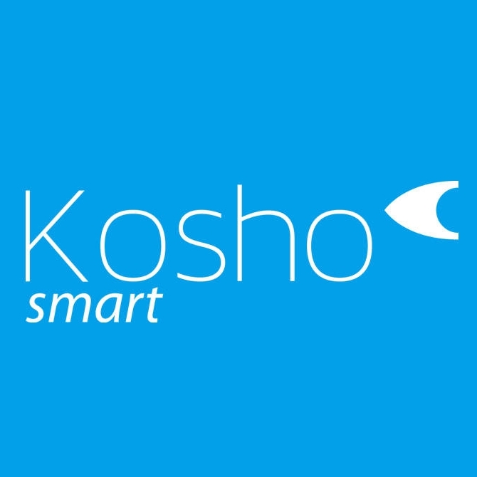 Kosho 鸿熵智能