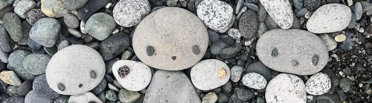 Z K