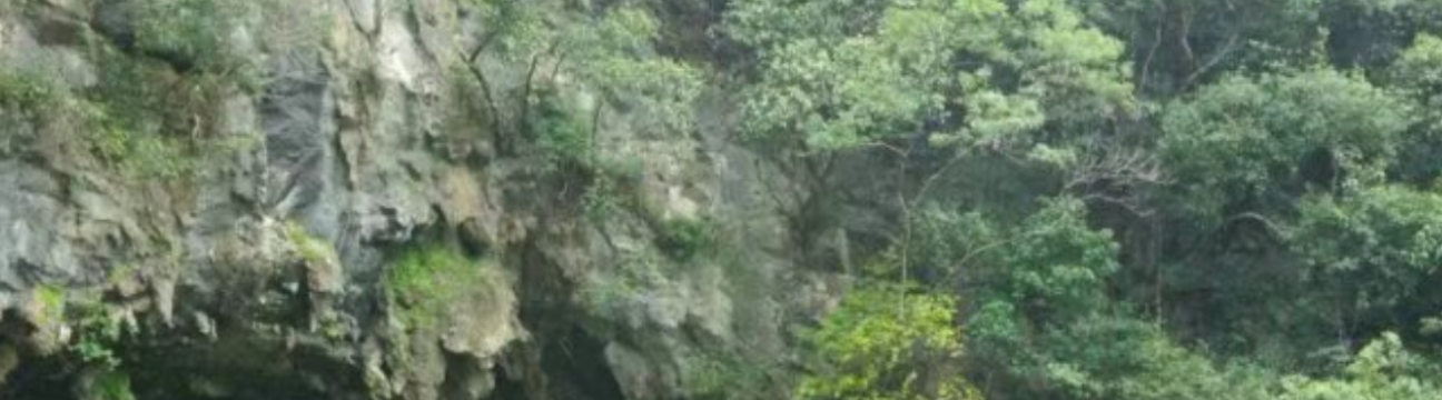 Jinna Li