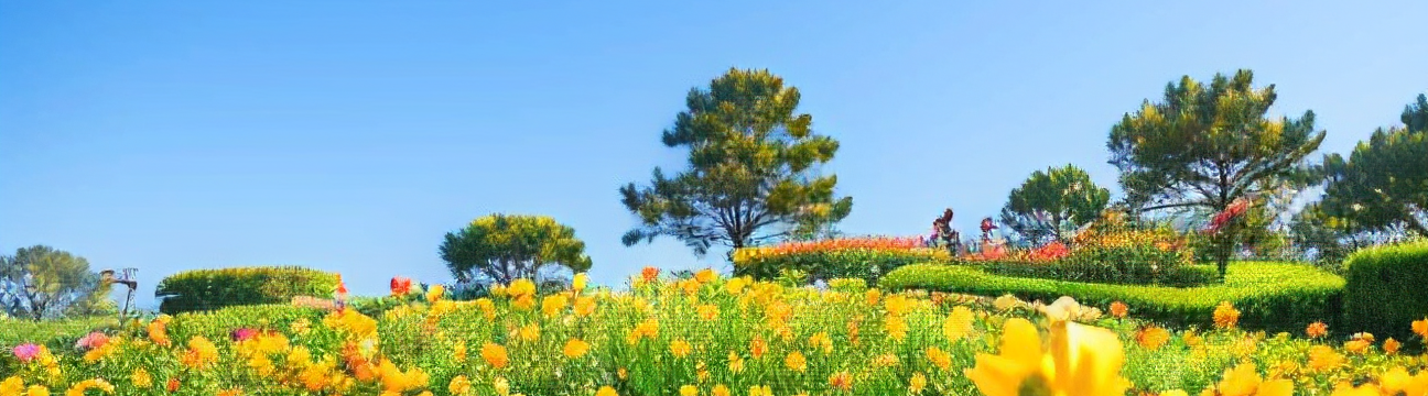 天淼 焦