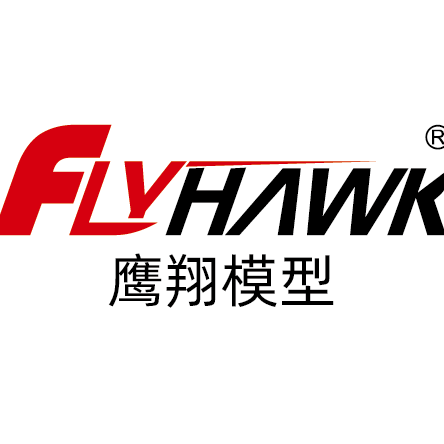 Flyhawk Model