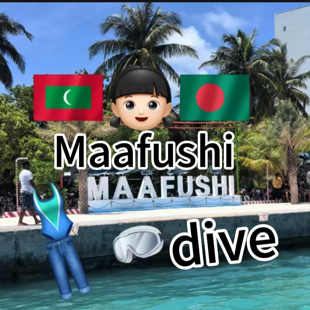 Missing Person Notice